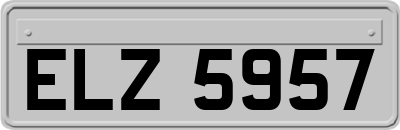 ELZ5957