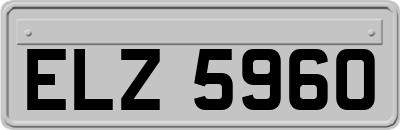 ELZ5960