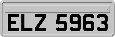ELZ5963