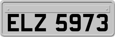 ELZ5973
