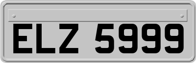 ELZ5999