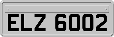 ELZ6002
