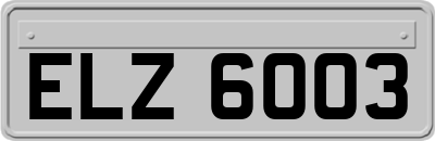 ELZ6003