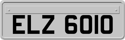 ELZ6010