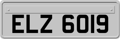 ELZ6019