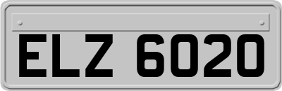 ELZ6020