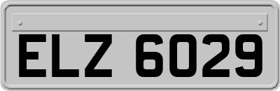 ELZ6029