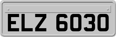 ELZ6030