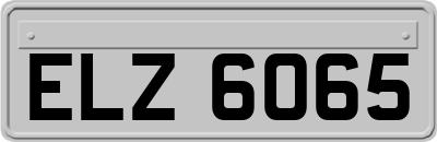 ELZ6065