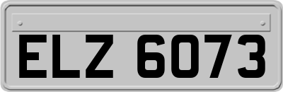 ELZ6073