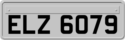 ELZ6079