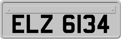 ELZ6134