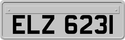 ELZ6231