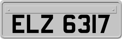 ELZ6317