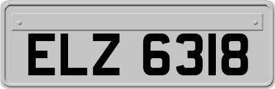 ELZ6318