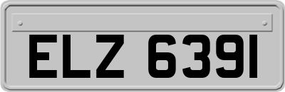 ELZ6391