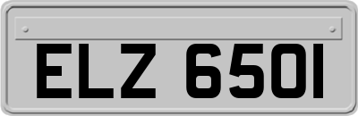 ELZ6501