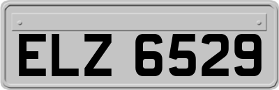ELZ6529
