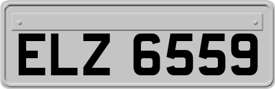 ELZ6559