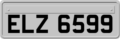 ELZ6599