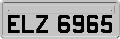 ELZ6965