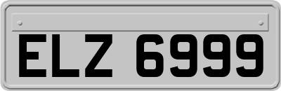 ELZ6999
