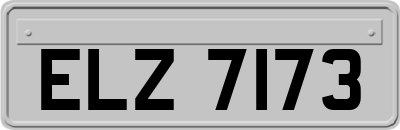 ELZ7173