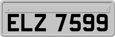 ELZ7599