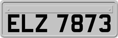 ELZ7873