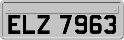 ELZ7963