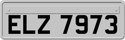 ELZ7973