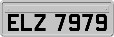 ELZ7979