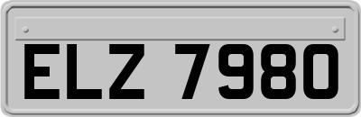 ELZ7980