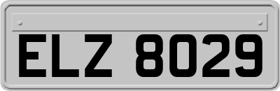 ELZ8029