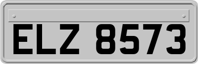 ELZ8573
