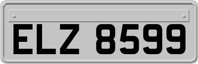 ELZ8599