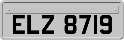 ELZ8719