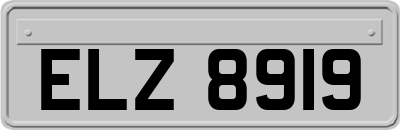 ELZ8919