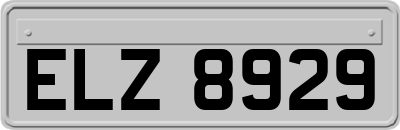 ELZ8929