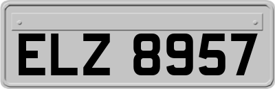 ELZ8957