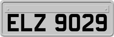 ELZ9029