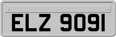 ELZ9091