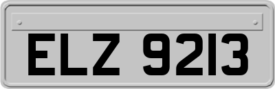 ELZ9213