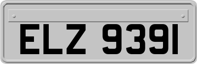 ELZ9391