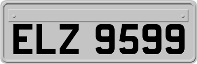 ELZ9599