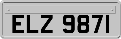 ELZ9871