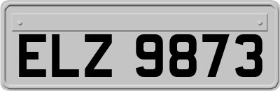 ELZ9873