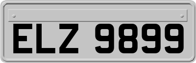 ELZ9899