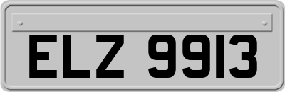 ELZ9913