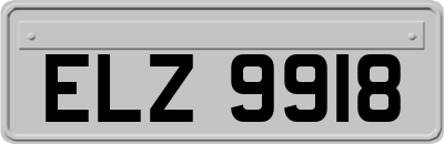 ELZ9918